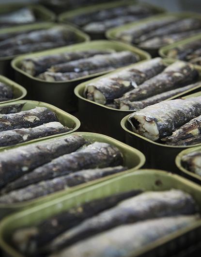Maintain up to 70% of the fish's nutritional capacity.