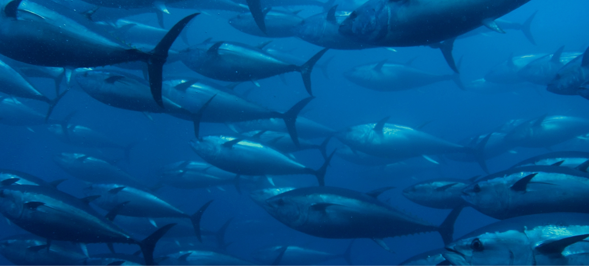 O produto que procura encontra-se atualmente esgotado ou indisponível.
