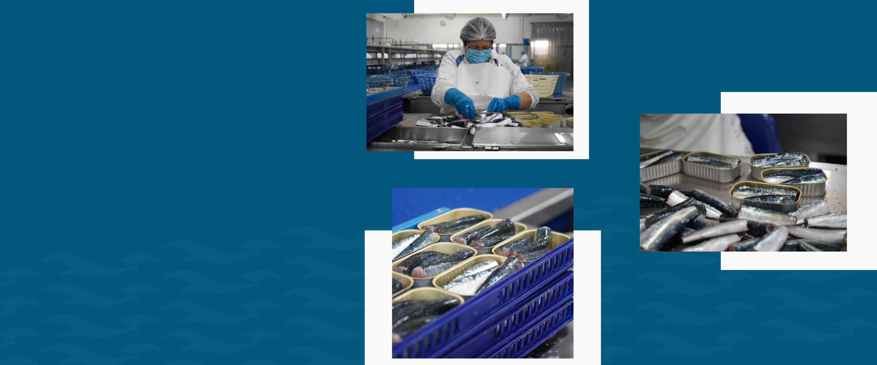 Journée nationale de la production