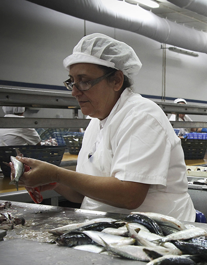 High quality canned fish, prepared and canned by hand.